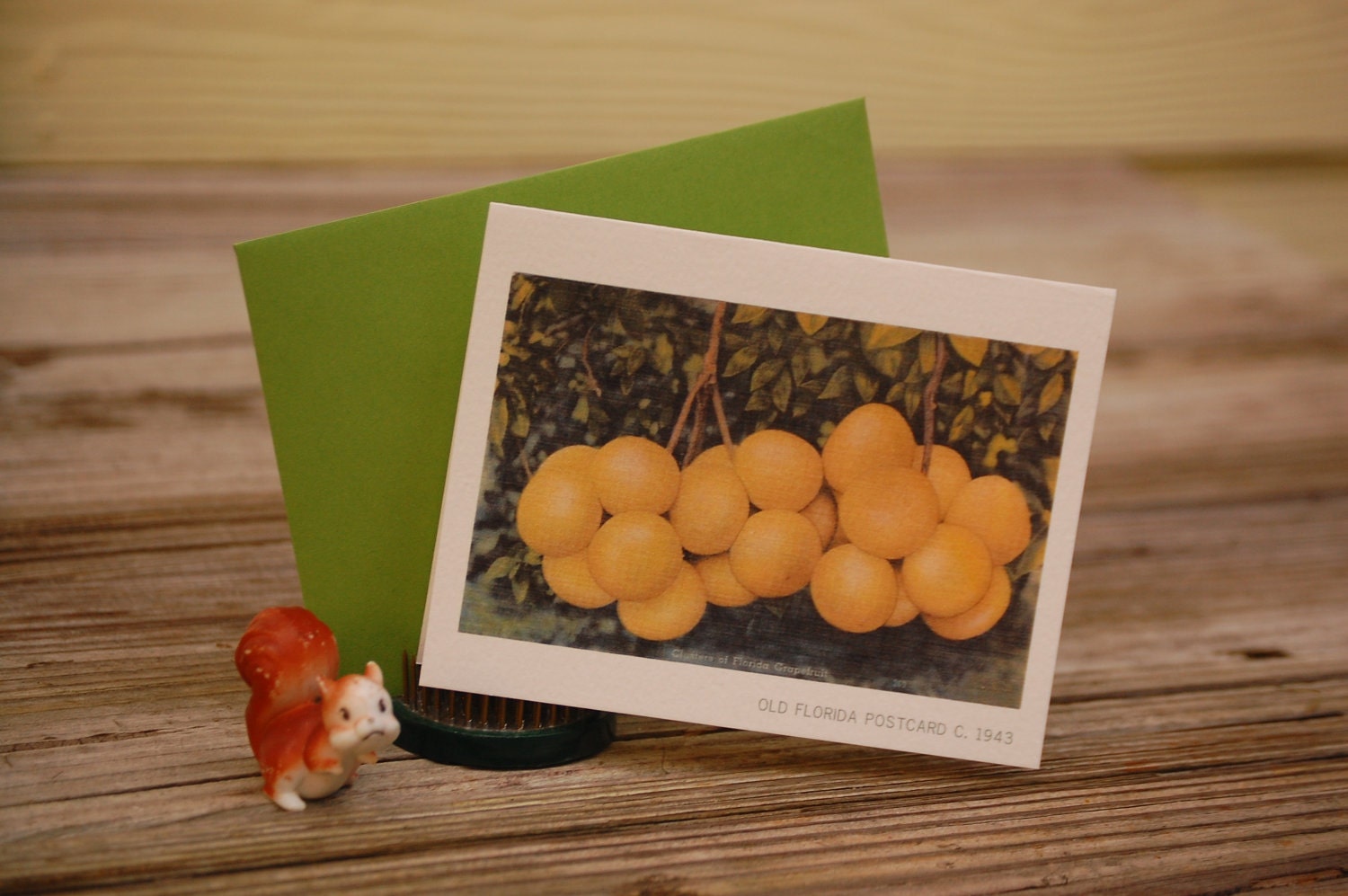 Florida Grapefruit notecard, made from a vintage Florida postcard