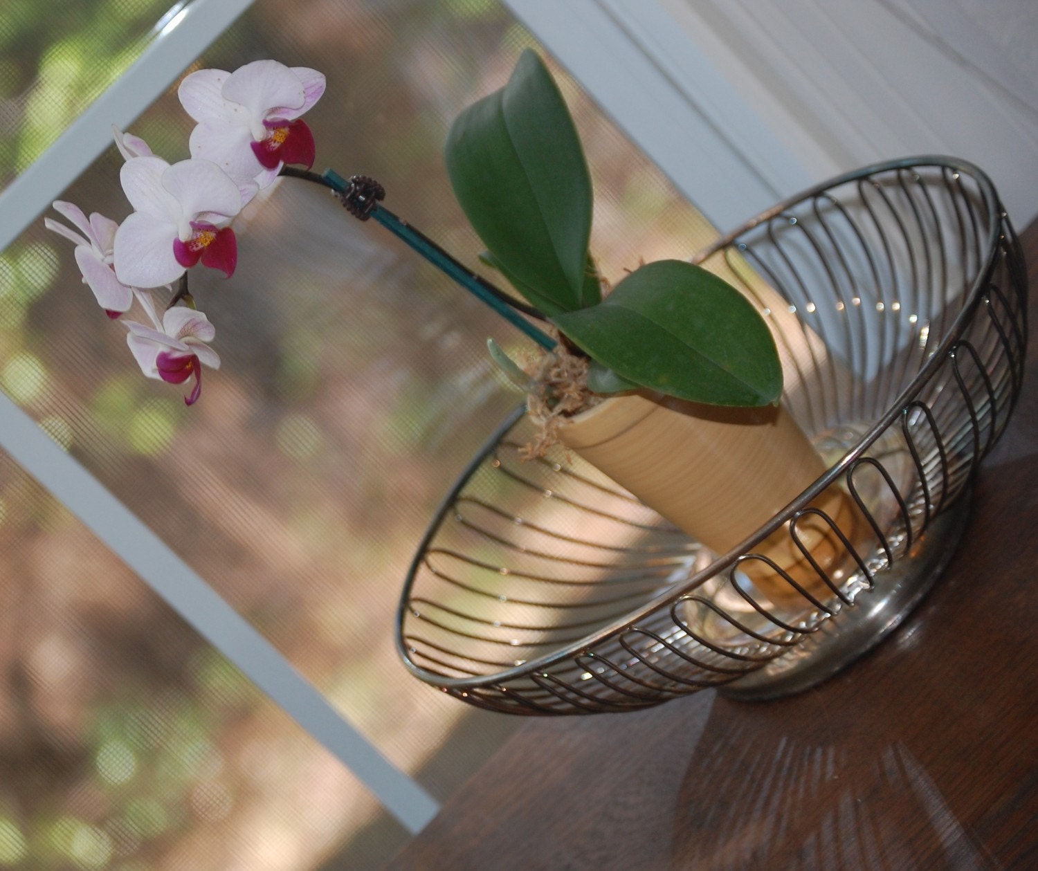 vintage Mid Century Modern oval wire basket