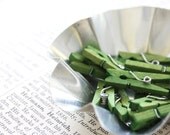 Hand-Stained Mini Clothespins - Green Apple