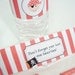 Pirate Bottle Wrappers - DIY Printable Parties