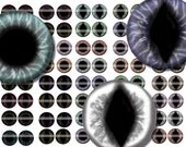 1 inch Eye Iris Pairs Digital Collage Sheet - doll eyes - taxidermy eyes great for steampunk jewelry making and scrapbooking