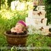 Newborn Knit Hat, Baby Girl Hats, Baby Beret, Newborn Baby Hat, Knit Newborn Hat, Baby Bow Hat, Newborn Photography Prop