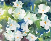 Fresh Pick No.78, limited edition of 50 fine art giclee prints - WaterWorksbySumiyo