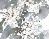 Fresh Pick No.305, limited edition of 50 fine art giclee prints from my original watercolor