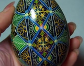 Egg, Pysanka, Ukrainian Easter Egg, Batik decorated Goose Egg, Birds of a Feather Ukrainian Egg