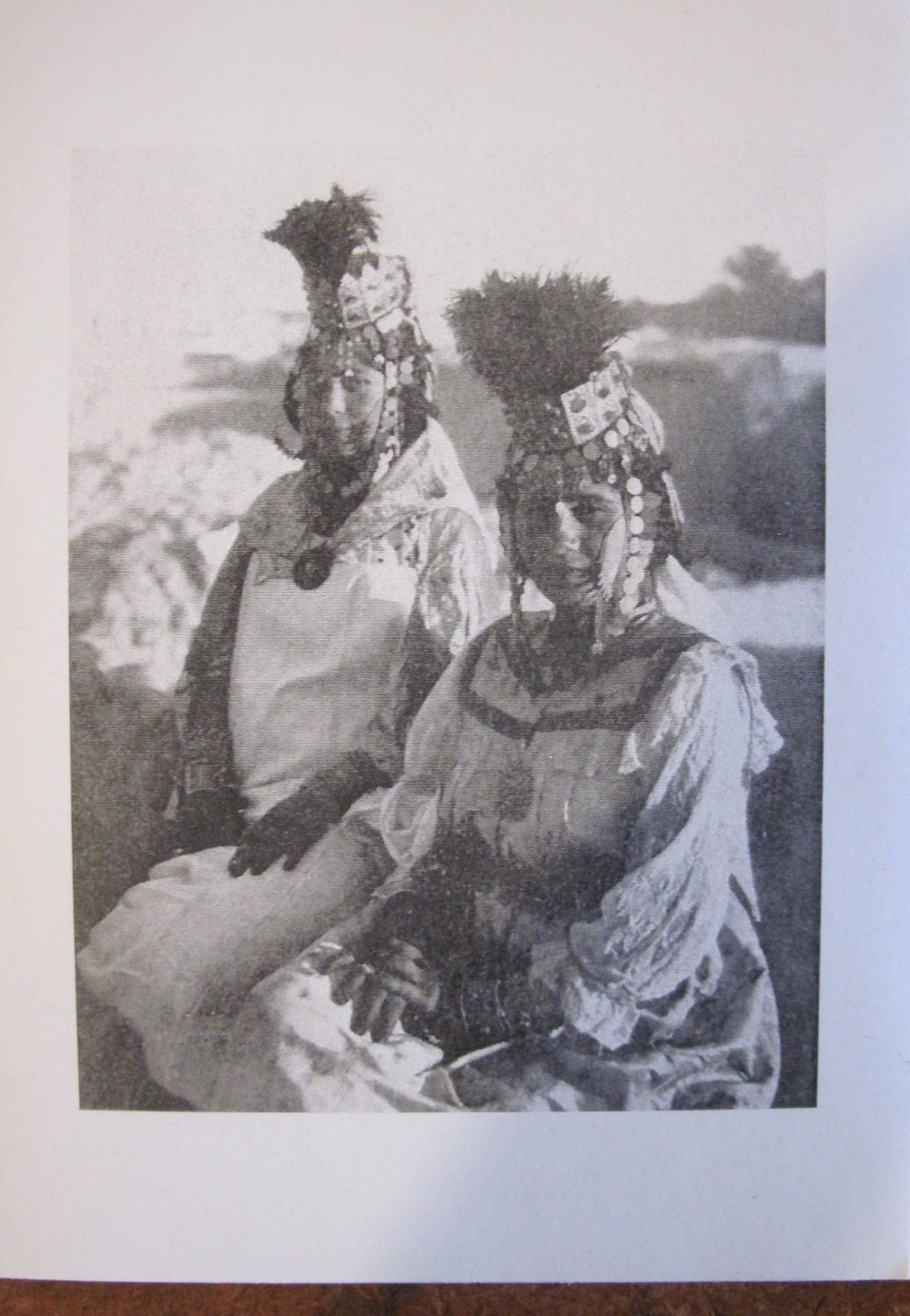 Algerian Dancing Girl Greeting Card Fine Feathers