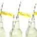 Drinking Straw Pennants . The Queen Bee's Collection .  by Loralee Lewis