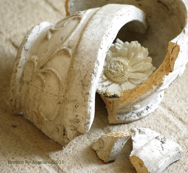 5x7 Ancient Ruins Clay Pot Ivory Flower Art Photography Print by Angelica