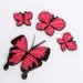 Tutorial for Paper Quilled Butterfly Earrings and Pendants PDF DIY Wedding