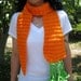 Orange you Big Giant Orange Carrot Scarf