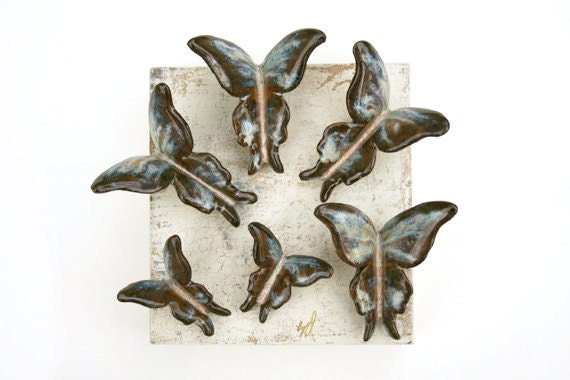 Baby Chickenhawk Butterflies