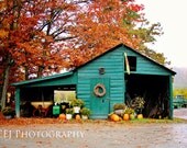 The Green Barn - CEJPhotography