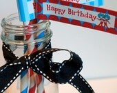 Dr. Seuss Cat in the Hat Birthday Paper Straws and Straw Flags in Turquoise and Red