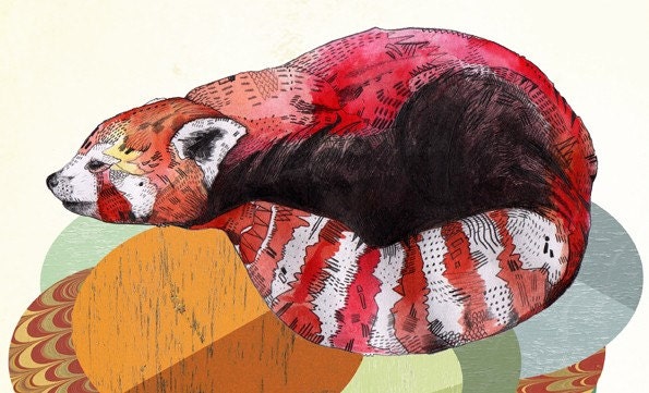 Red Panda //  print 5x8 (A5)