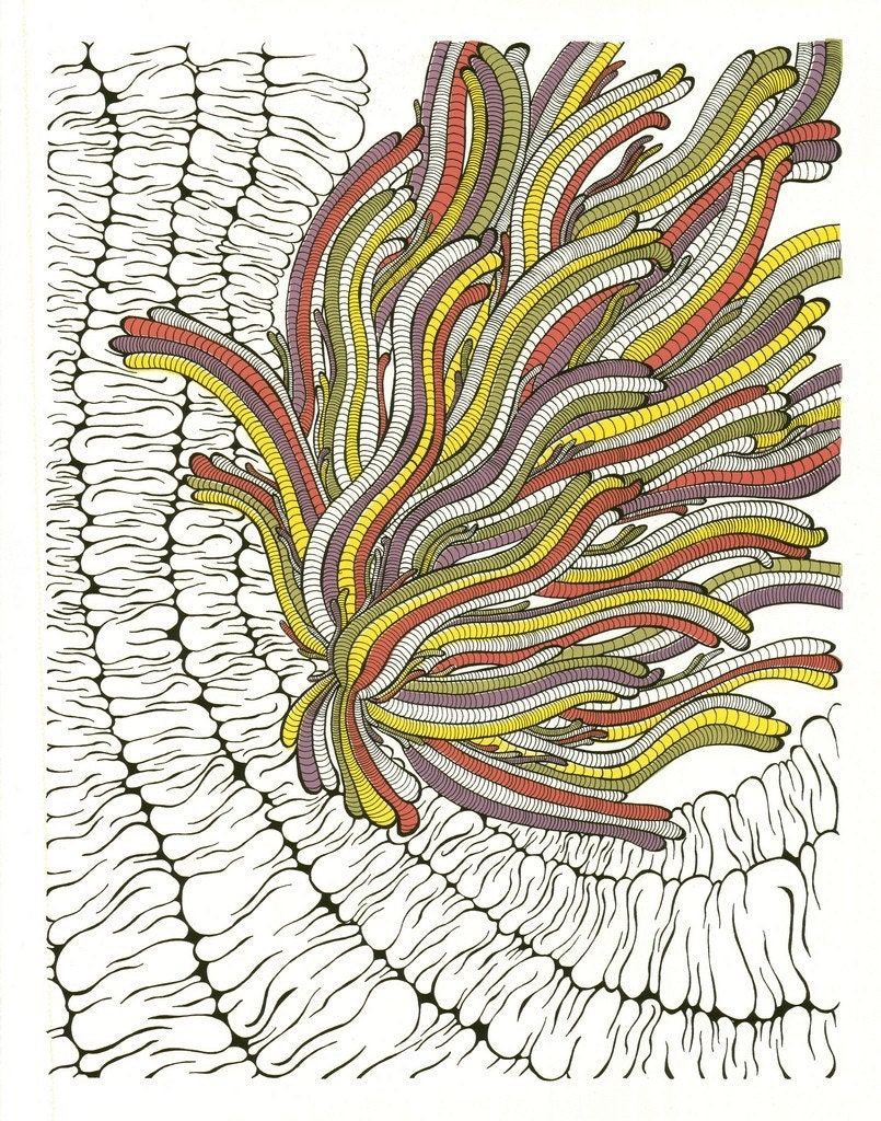 Sea Anemone Screenprint 22x30