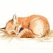 Red Fox Watercolor Painting Fine Art Print