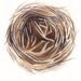 Spring Nest Watercolor