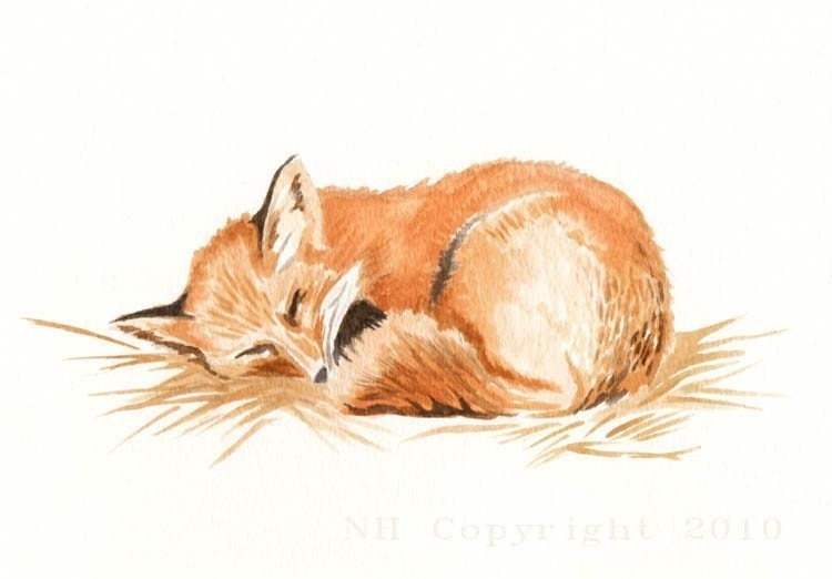 watercolor fox