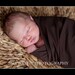Chic Swaddling Wraps -  Chocolate Brown -Photo Prop