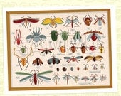 Placemat from the Bug Bash DIY Printable Collection by Spaceships and Laser Beams Il_170x135