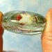 Gnome Place Like Home Glass Magnet