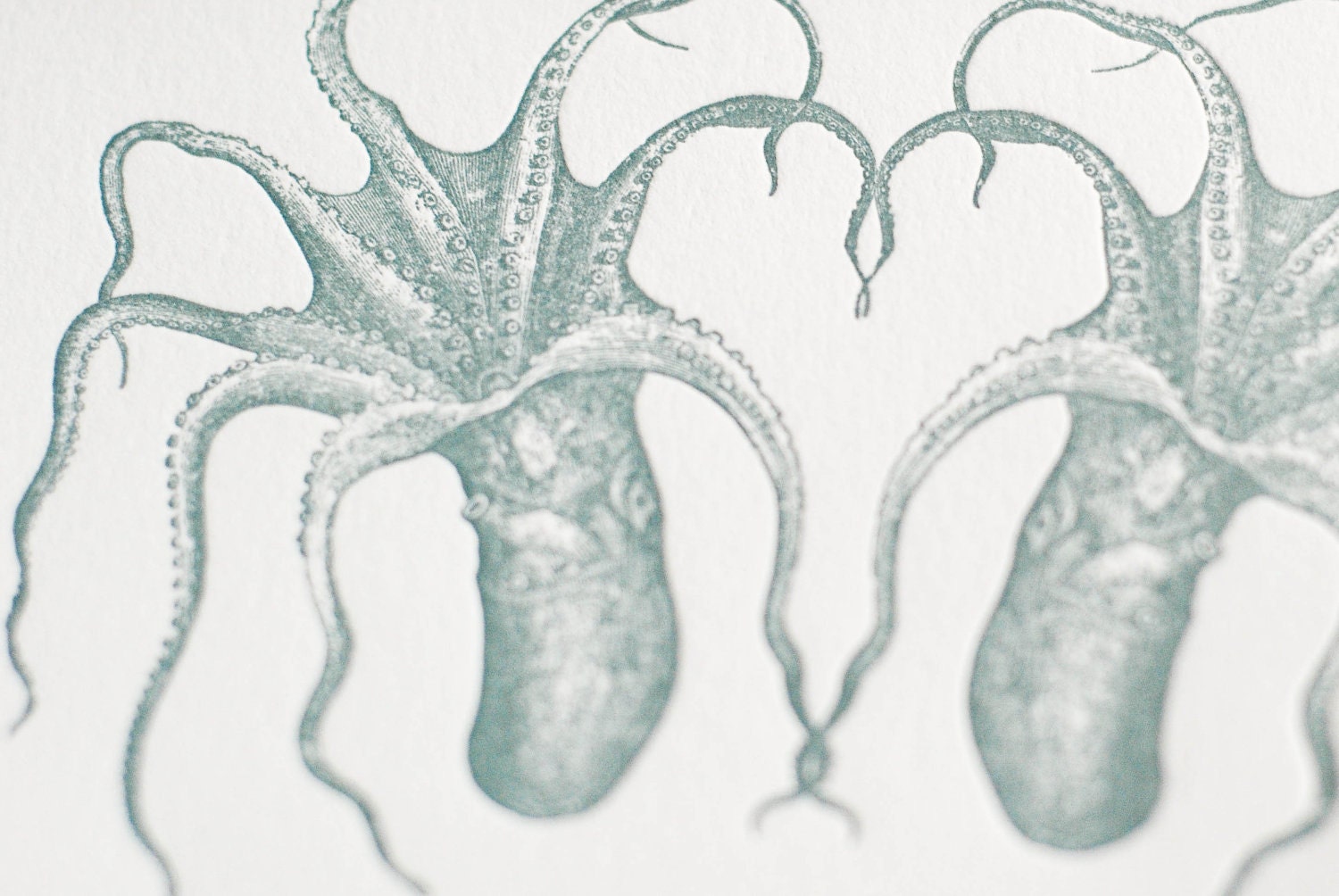 Let's tangle tentacles (a deep sea letterpress love note in a single card & envelope)