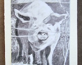 Pig Barnyard GREETING CARD Black and White