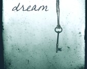 Vintage Inspired 8x8 Photograph "Dream"