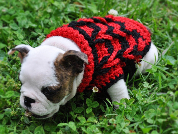 Crochet Pattern - Crochet Small Dog Sweater Decorative Loop Design, PDF Crochet Sweater Pattern C106