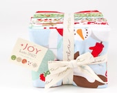 Joy - Fat Quarter Bundle by Kate Spain for Moda Fabrics