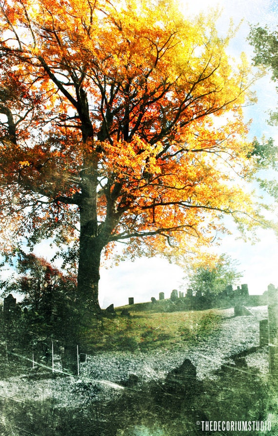 TREE OF LIFE autumn fall foliage fine art Travel Photography print in orange green and yellows of gothic New England 11x17