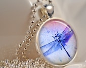 Blue Dragonfly Necklace, Resin Pendant, Picture Pendant, Photo Pendant, Resin Jewelry C182S