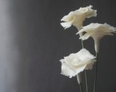 Set of 5 White Flowers - Decoration - Home decor - Wedding - Handmade by oenopia