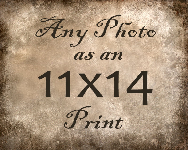 Any Photo From My Shop - 11x14 Print