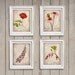 Set of 4 Botanical Prints - Vintage Style Original Photographs 8x10 - Textured Distressed Decor Instant Collection Cottage Shabby Chic