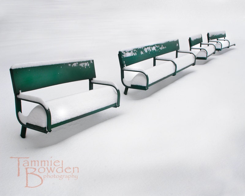 Green Benches - Original Photograph 8x10 - TammieBowdenPhoto