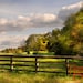Beyond the Fence - Original Photograph 8x10 - Peaceful Serene Farm Pasture Country Field Green Home Decor Wall Art
