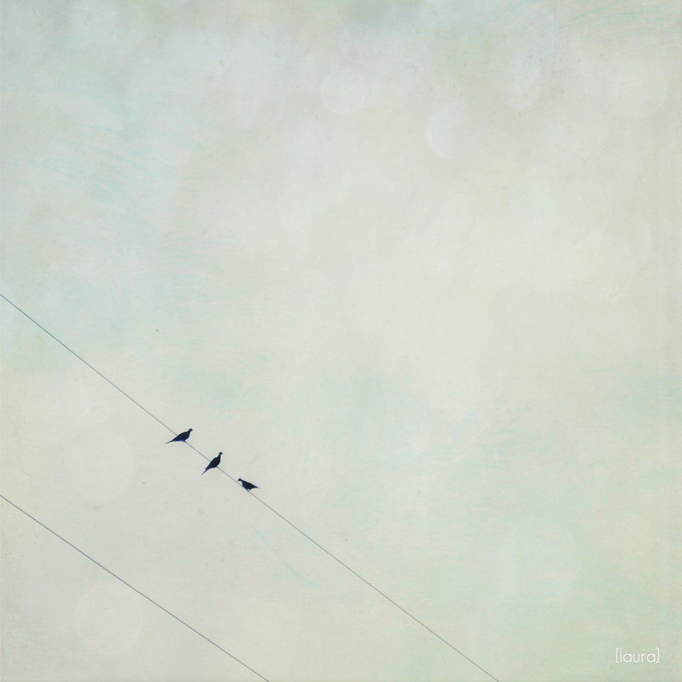 Birds On A Wire - Pale Vintage Blue - Vintage Inspired and Dreamy - Home Decor  - Fine Art Photograph 5X5 - DreamyPhoto