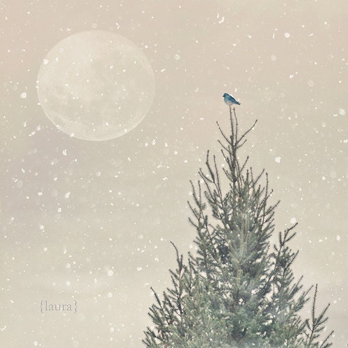 Christmas Photography - Holiday Gift - Little Blue Bird - Dreamy and Vintage Inspired  - Original and Signed - Fine Art Photograph - DreamyPhoto