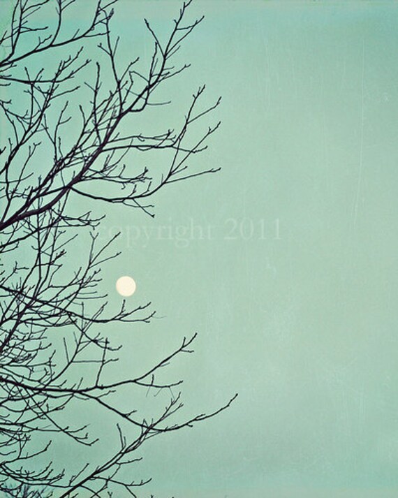 50% Off SALE - Clearance - Love You To The Moon and Back- Nature - Original and Signed - Fine Art Photograph 8x10