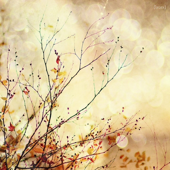 50% OFF SALE - Autumnal Bliss - Nature Photography - Fall Leaves - Orange, Yellow, Red - Home Decor, Baby Nursery - Fine Art Photography