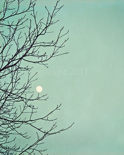 50% Off SALE - Clearance - Love You To The Moon and Back- Nature - Original and Signed - Fine Art Photograph 8x10