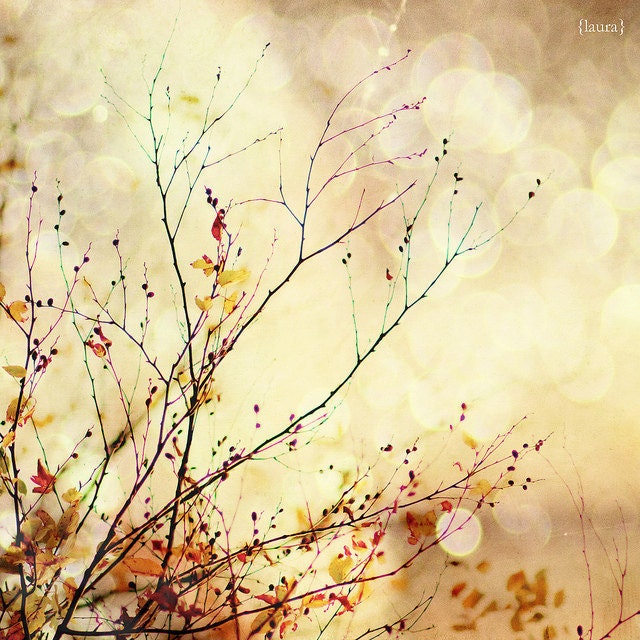 50% OFF SALE - Autumnal Bliss - Nature Photography - Fall Leaves - Orange, Yellow, Red - Home Decor, Baby Nursery - Fine Art Photography
