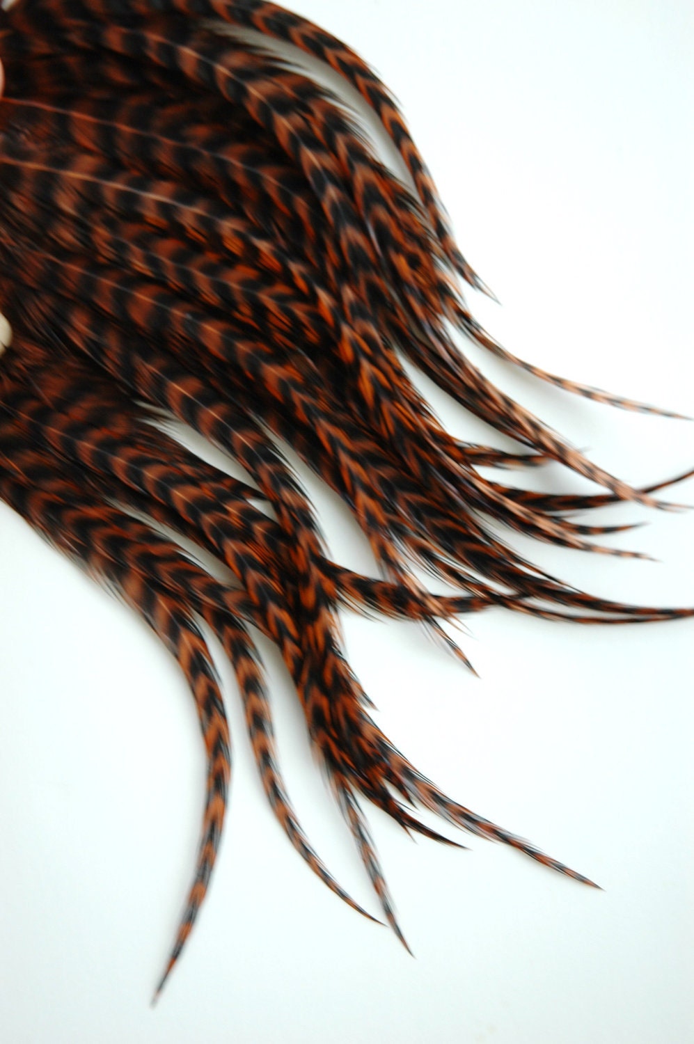 20-30 short brown grizzly feathers (3-5 inches) - BROWN GRIZZLY bulk lot