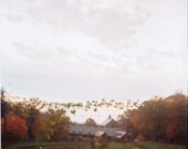 at stone barns print of hasselblad photo
