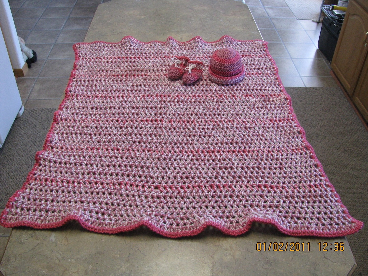 Raspberry Blanket Rose