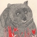 Brown Bear Original A5 Drawing
