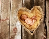SALE - Soft, Cozy, Cuddly Faux Fur Nest - Perfect Newborn Photography Prop - Plush Long Pile - Tan Faux Fur Photography Prop