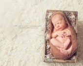 Leighton Heritage - Soft, Cozy, Cuddly Faux Fur Nest - Perfect Newborn Photography Prop - Plush Long Pile