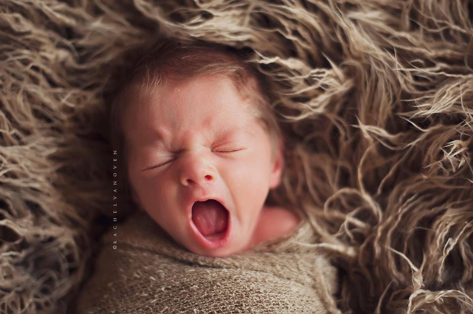 SALE - Leighton Heritage - Soft, Cozy, Cuddly Faux Fur Nest - Perfect Newborn Photography Prop - Kinky Dreadlock Beige Textured